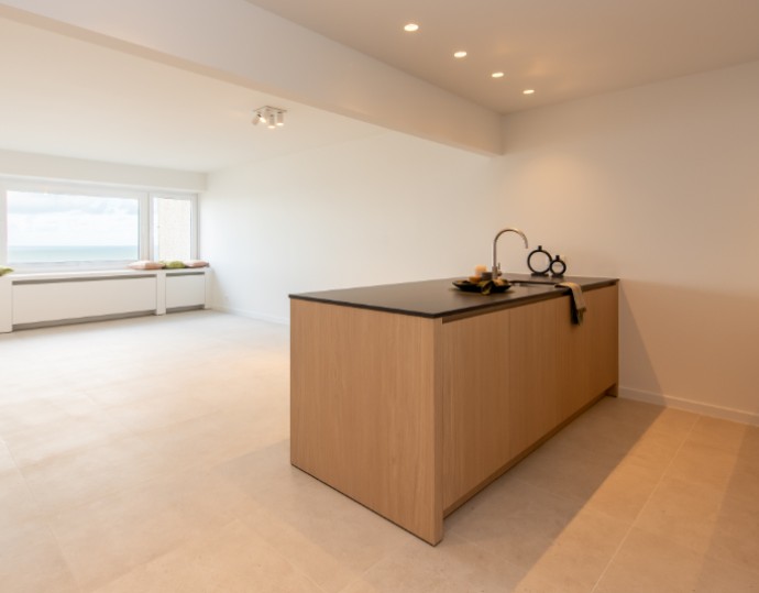 Gerenoveerd 2-slaapkamer appartement met panoramisch zeezicht
