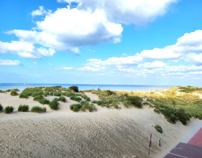 Appartement zum kauf Oostduinkerke