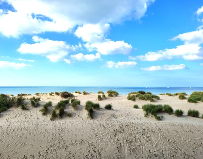 Appartement zum kauf Oostduinkerke